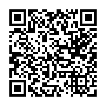 QR code for DZQ328