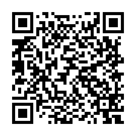 QR code for plate DZQ 999