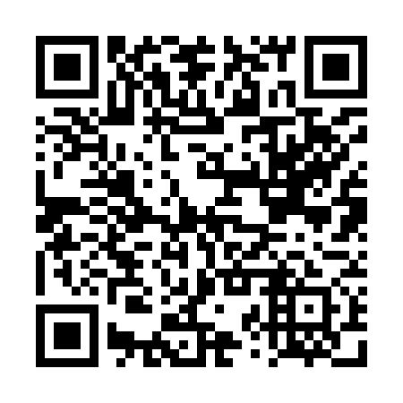 QR code for DZR 971