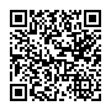 QR code for plate DZR 346
