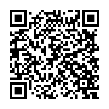QR code for plate DZR 867