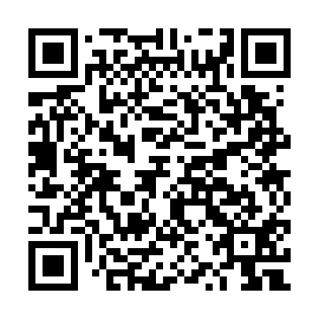 QR code for DZS 711