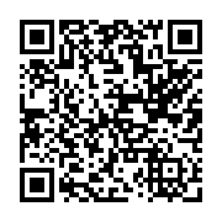 QR code for DZT 250