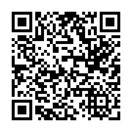 QR code for DZT 336
