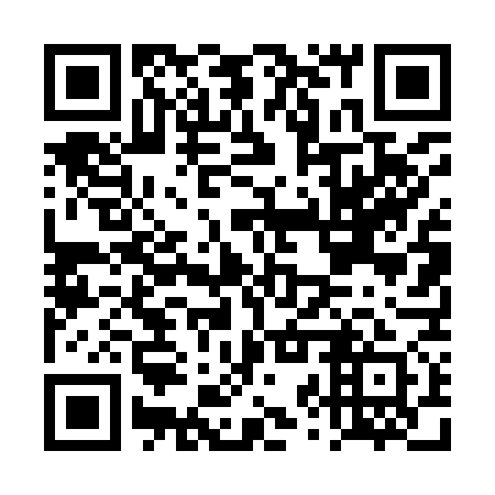 QR code for DZT 971