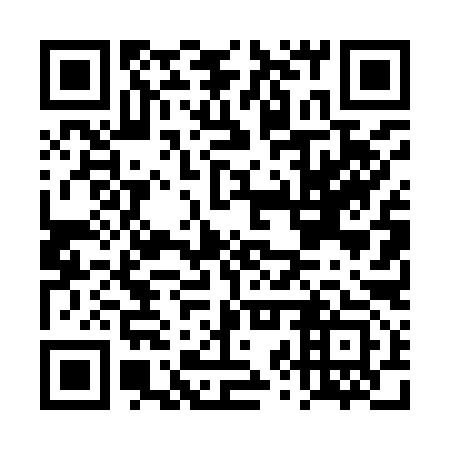 QR code for DZT 993