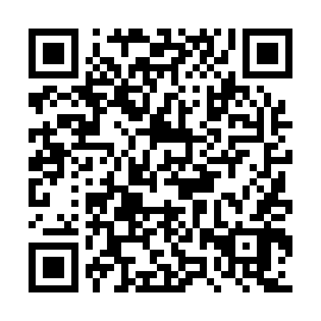 QR code for DZT142