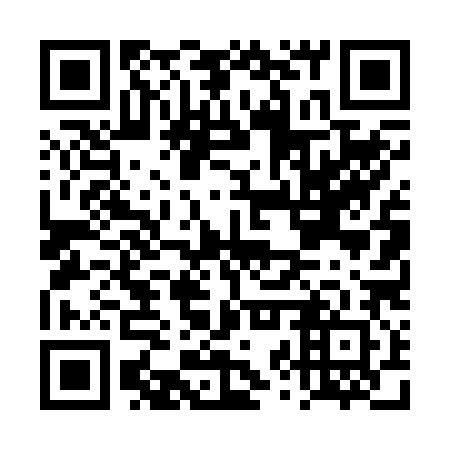 QR code for DZT282