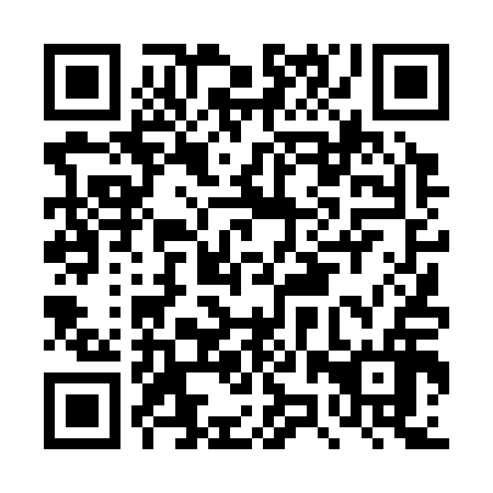 QR code for DZT316