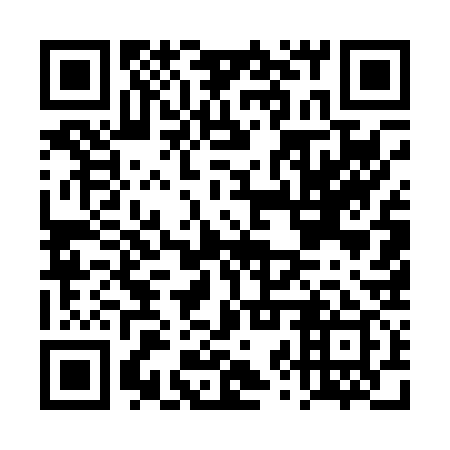 QR code for plate DZU 039