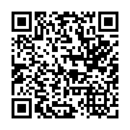 QR code for plate DZU 409