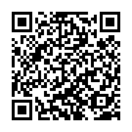 QR code for plate DZU 478