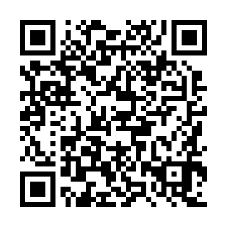 QR code for DZX 290