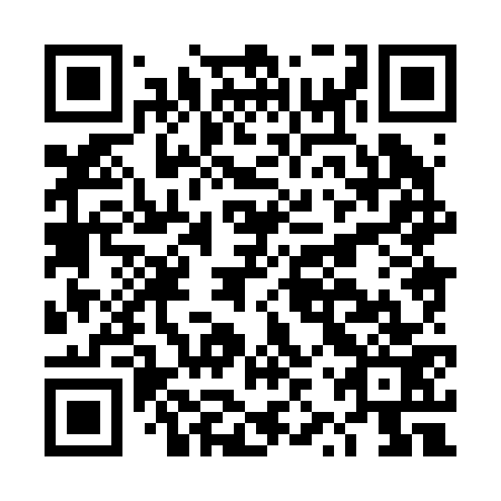 QR code for plate DZX 273