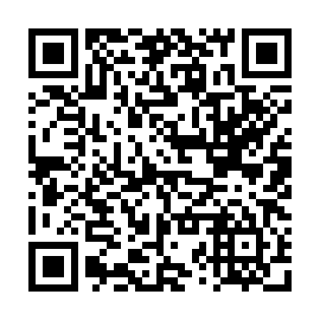 QR code for DZY 385