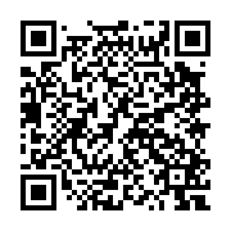 QR code for DZY041