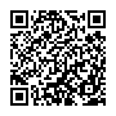 QR code for plate DZY 656