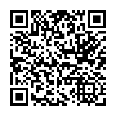 QR code for DZZ 133