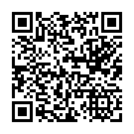 QR code for plate DZZ 367