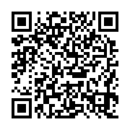 QR code for plate DZZ 371