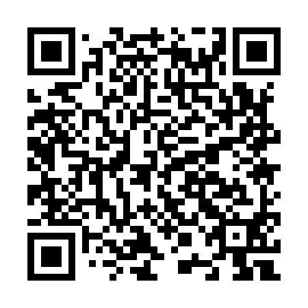 QR code for N0A 990