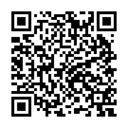 QR code for N0A250