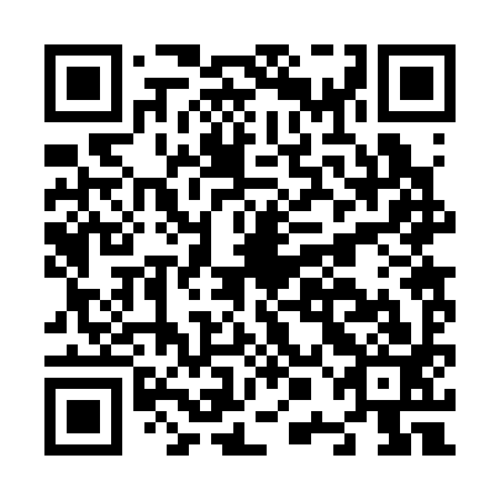 QR code for N0B393