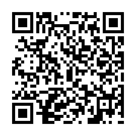 QR code for N0D338