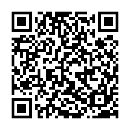 QR code for plate N0E 517