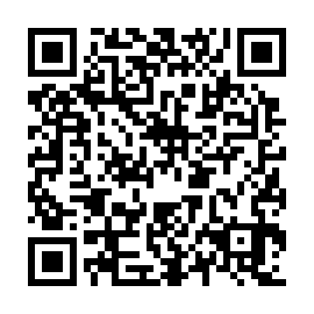 QR code for N0F 333