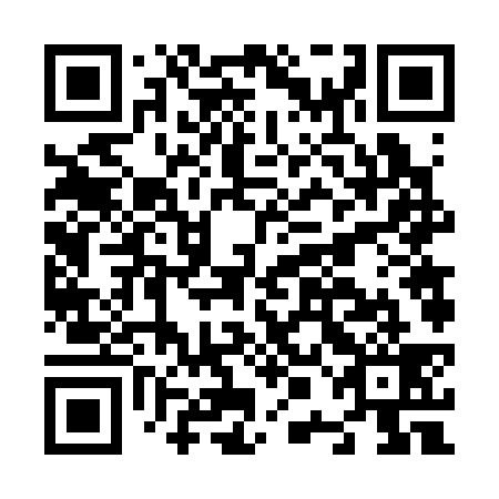 QR code for N0F339
