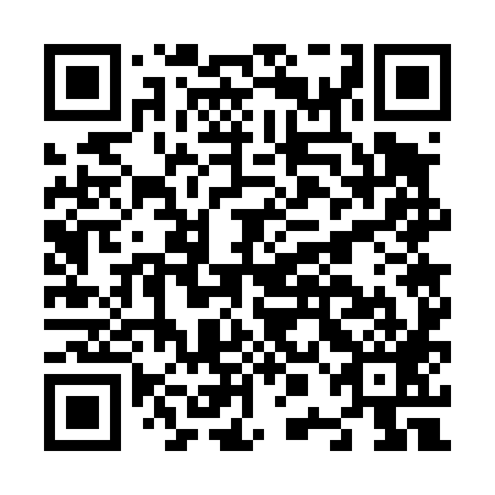 QR code for N0G 489