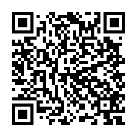 QR code for plate N0G 009