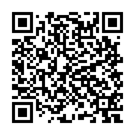 QR code for N0G110