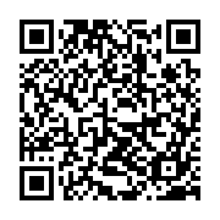 QR code for plate N0G 377