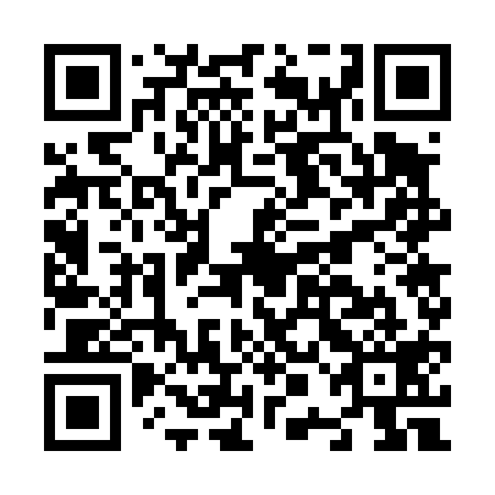 QR code for N0G419