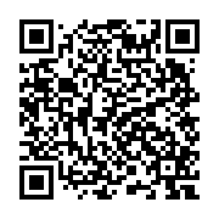 QR code for plate N0G 605