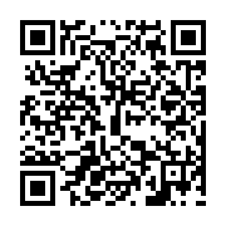 QR code for plate N0G 995