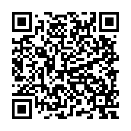 QR code for N0H 597