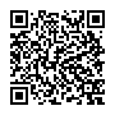 QR code for N0H334