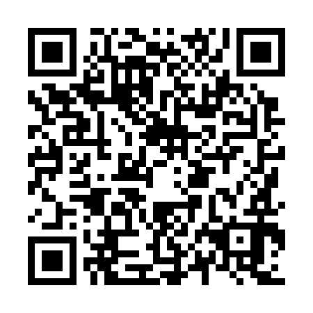 QR code for N0H392