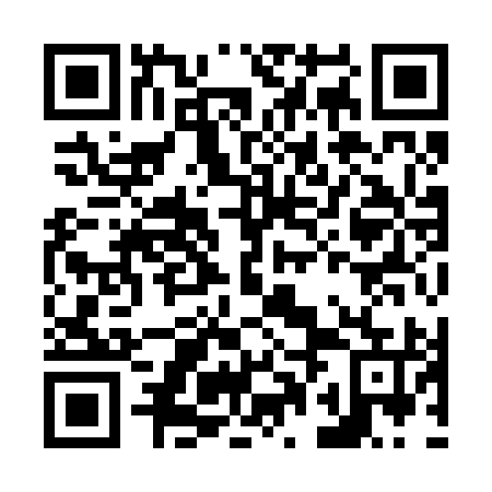 QR code for N0I 295