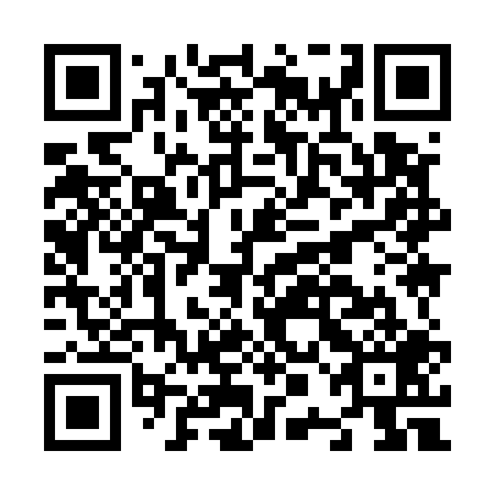 QR code for N0I 509