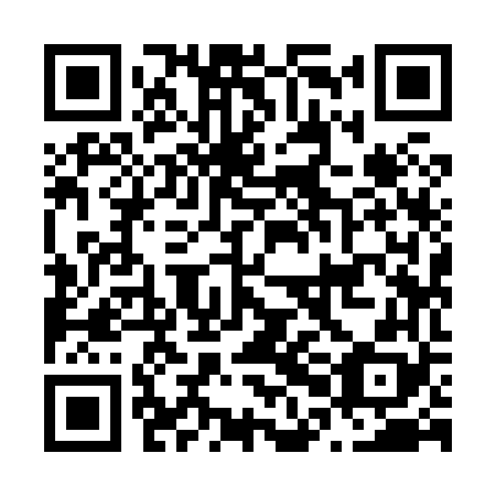 QR code for N0I 868
