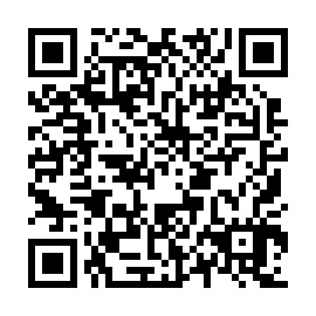 QR code for N0I207