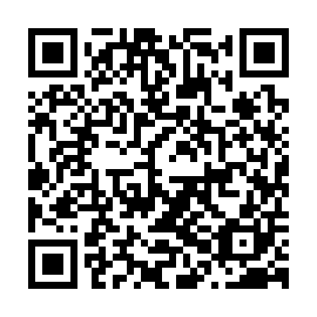 QR code for N0I300