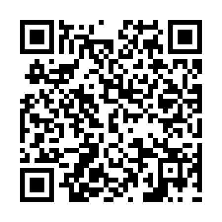 QR code for N0K 223