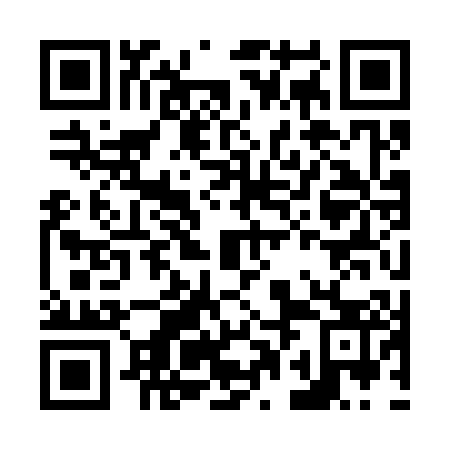 QR code for N0K303