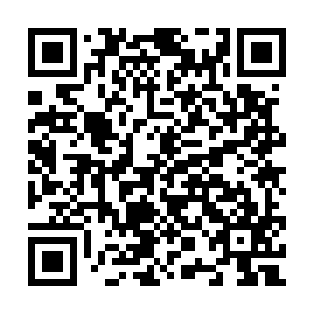 QR code for plate N0K 597