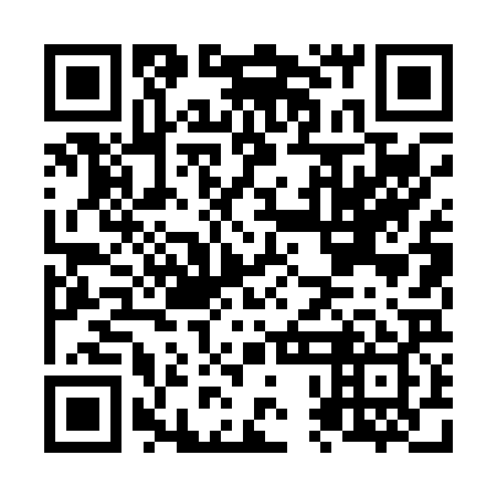 QR code for N0L029